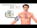 How Blood Pressure Works Animation Understanding Blood Pressure Measurement Monitor Readings Video