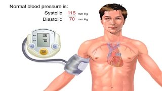 How Blood Pressure Works Animation - Understanding Blood Pressure Measurement Monitor Readings Video