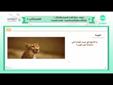 الثاني المتوسط | الفصل الدراسي الثاني 1438 | علوم | جهاز الغدد الصماء والتكاثر -1