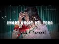 Chori Chori Dil Tera Churayenge | Lofi | Slowed and Reverb | Hindi Song