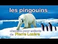Les Pingouins De Pierre Lozère
