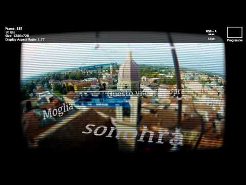 I SONOHRA a Moglia su una piattaforma a 50 metri di altezza!