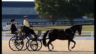 Misdee Wrigley-Miller Set to Judge Harness Horse Class at Valkenswaard -  HorsesDaily