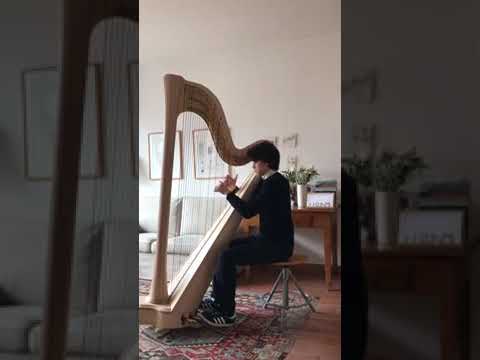 XII Concorso Internazionale d’Arpa M.Tournier - Pietro Giovanni Maria Merz, categoria C