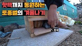 한주먹 세력 토종벌들은 올해 가장 추운 날을 버틸수 있을까?