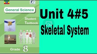 Ethiopian Grade 8 General Science 4#5 Skeletal System