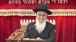 013מצוות ומדות-בראשית ל'-ל''ב (הרב יורם סרי) - התמונה מוצגת ישירות מתוך אתר האינטרנט יוטיוב. זכויות היוצרים בתמונה שייכות ליוצרה. קישור קרדיט למקור התוכן נמצא בתוך דף הסרטון