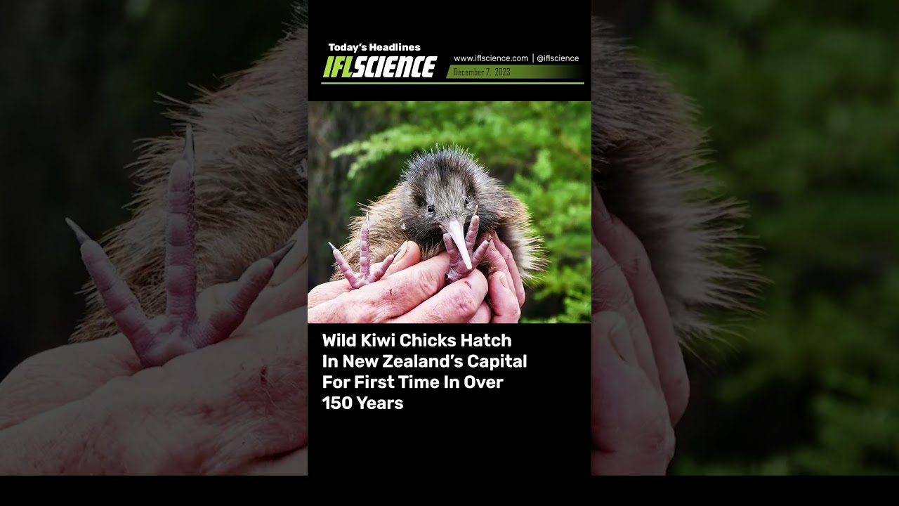 Top #Science Headlines - 7 December 2023 #news