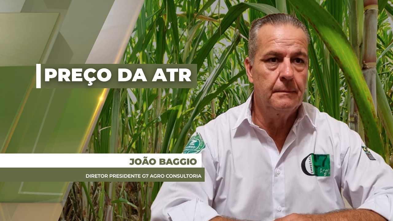Preço da ATR da cana-de-açúcar em SP está abaixo de R$1 e coloca produtores em atenção