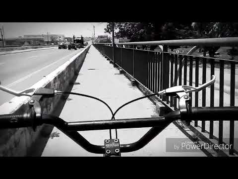 Paródia 3 dia virado