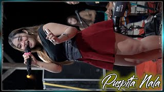 Download lagu TATA ARISTA🍑 GEMOY MENGGEMASKAN ✴ PUSPITA NALA | PUTRA NADA  #PUSPITANALA mp3 Download lagu TATA ARISTA🍑 GEMOY MENGGEMASKAN ✴ PUSPITA NALA | PUTRA NADA  #PUSPITANALA mp3