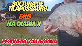 FUI CONHECER O PESQUEIRO CALIFORNIA EM MAUA