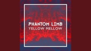 Phantom Limb