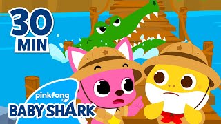 Baby Shark&#39;s Jungle Adventure w/ Pinkfong! | +Compilation | Guess the Animals | Baby Shark Official