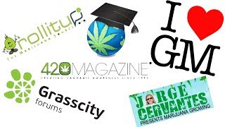 Top 5 Cannabis Growing Forums Ranked - Lex Blazer Picks