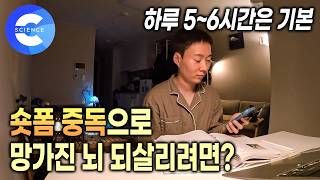 하루종일 유튜브 보느라 다른 일을 할 수 없는 나 🧠 도파민에 중독된 뇌는 퇴화된다고? | 집중력 저하 | 숏폼에서 벗어나는 법 | 귀하신몸
