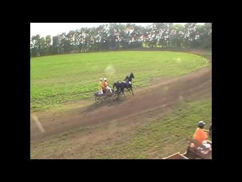 Horses accindents,Dvopreg  Aleksa Santic 2012g.