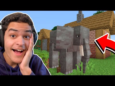 consegui acesso ao minecraft 1.19?
