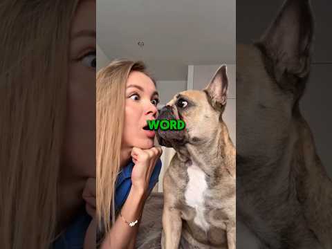 Never Say Your Dog’s Favorite Word 😭🐶 #shorts #dog