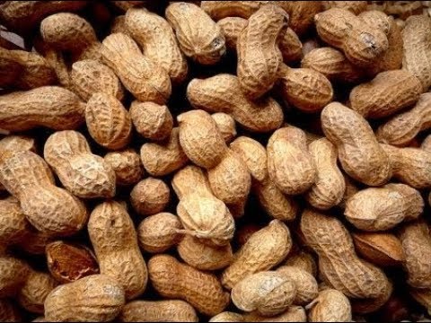 SCP-173 è una brava nocciolina