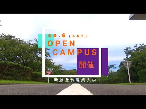 【学生スタッフにインタビュー】