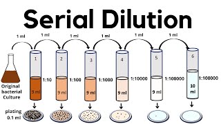 Serial Dilution method | viable cell count method