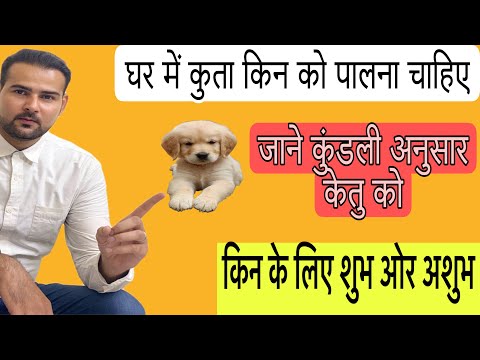 who should keep a dog in the house ।घर में कुत्ता किसे रखना चाहिए ।Explanation ।