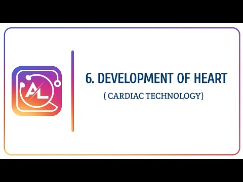 DEVELOPMENT OF THE HEART | CT | LECTURE 6 | ALLIED LECDEM.