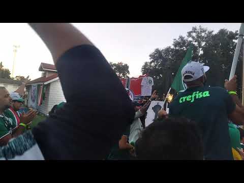 Mancha verde orlando fl  contra mulambo