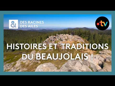 Les histoires et les traditions du Beaujolais ! - Des Racines et Des Ailes