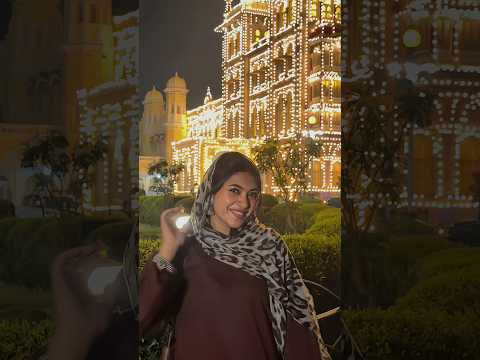 Dasara diaries 🪔 Who else gets excited over lights?! #dasara #dasara2026