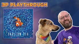 Board Gaymes James - Shallow Sea video thumbnail