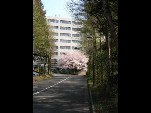 Institute of Space and Aeronautical Science | Wikipedia audio article