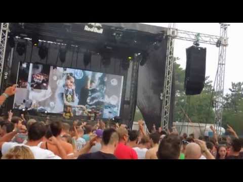 pet duo @eco festival 2013