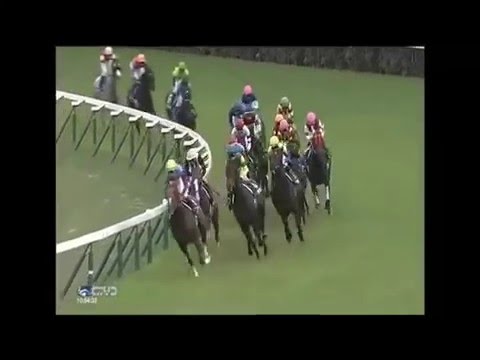 2015 Tenno Sho Spring - Gold Ship