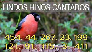 BELOS HINOS DE LOUVORES E SÚPLICAS AO NOSSO DEUS - PAZ SEJA EM VÓS - Hinos CCB