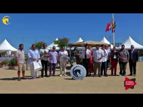 2 nd place N.14 D MUMAYYAZAH - MENTON 2017 - Yearling Female Championship (Class 11)