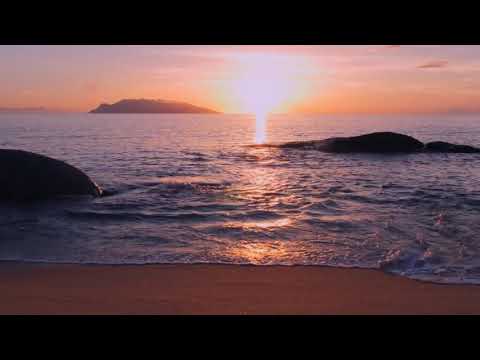 Ieva Raubytė -  Ilgesys jūrai