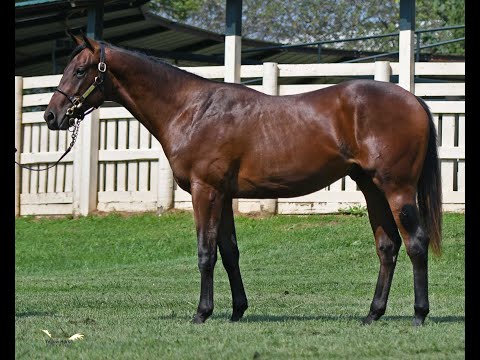 KEESEP 2020 #2654 Big Blue Kitten x Keira '19 colt