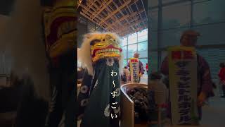 Happy New Year 2026！元旦にホテルのラウンジで #獅子舞 に噛んでいただきました〜運気アップ✨🎍 #vlog #元旦 #お正月