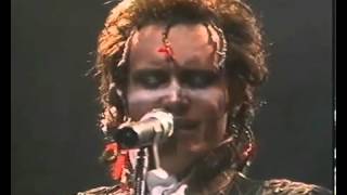 ANT INVASION by ADAM &amp; THE ANTS