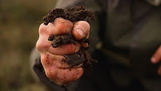 Torfmoore zu einer grünen Wirtschaft in den irischen Midlands machen