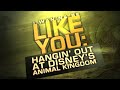 The Jungle Book I Wan Na Be Like You Hangin Out At Disney S Animal Kingdom