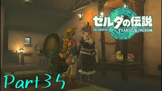 この世界には選挙法とかないんか？？-ゼルダの伝説 Tears of the Kingdom -part35-
