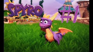 Spyro Reignited Trilogy (Year of the Dragon) Part 1 Stolen Eggs!