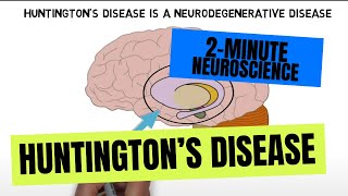 2-Minute Neuroscience: Huntington&#39;s disease