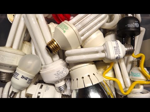 Compact Fluorescent Light Bulbs Box-o-Bulbs (Box 1)