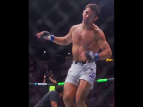 UFC video artwork