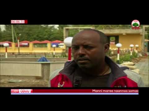 Giddugala Aadaa Salaalee