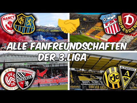 All fan friendships of the 3rd league📢🤝 #ultras #football #fans #3liga #dynamo #fch #fcs #alemann...